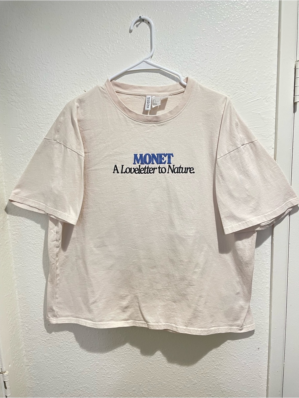 🎨 H&M Divided Monet Water Lilies Oversized Graphic Tee L 🌿